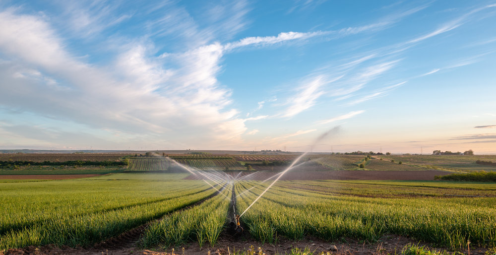 The Four Main Types of Irrigation