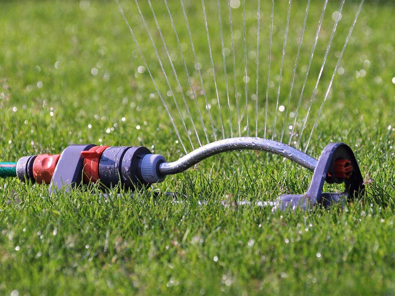 How Often to Water Your Garden