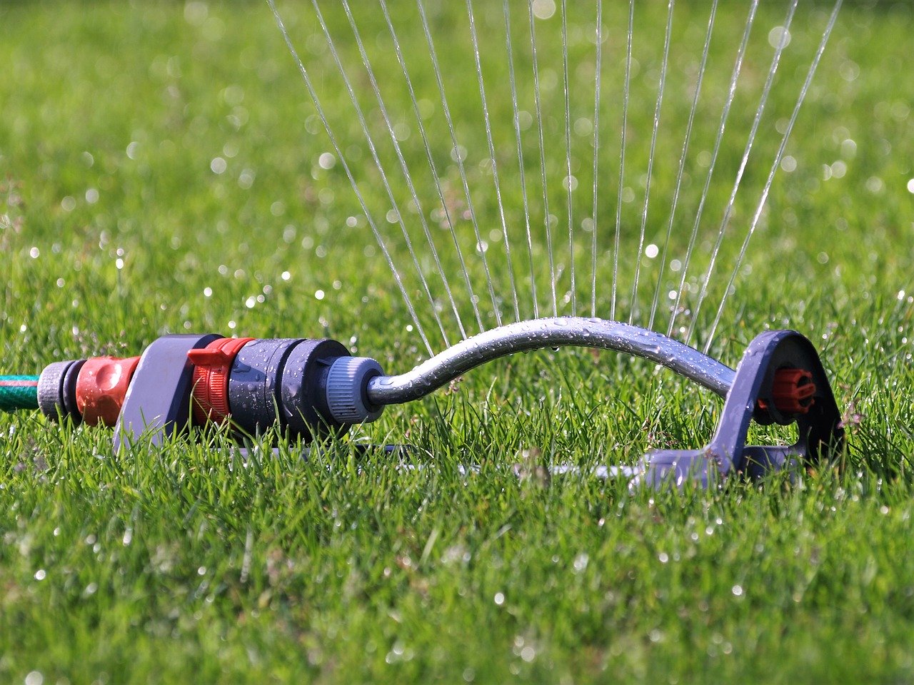 How Often to Water Your Garden