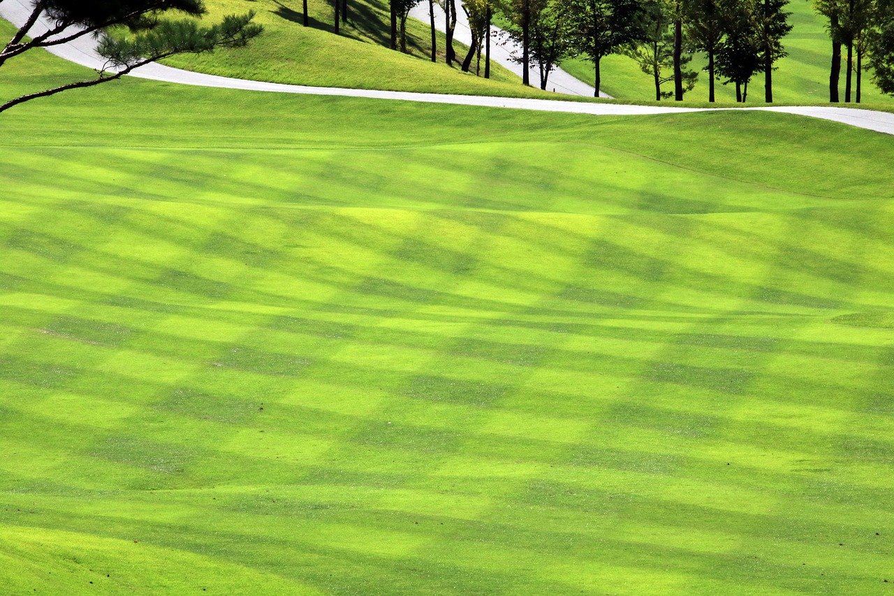 The Different Types of Golf Course Grass – TWL Irrigation