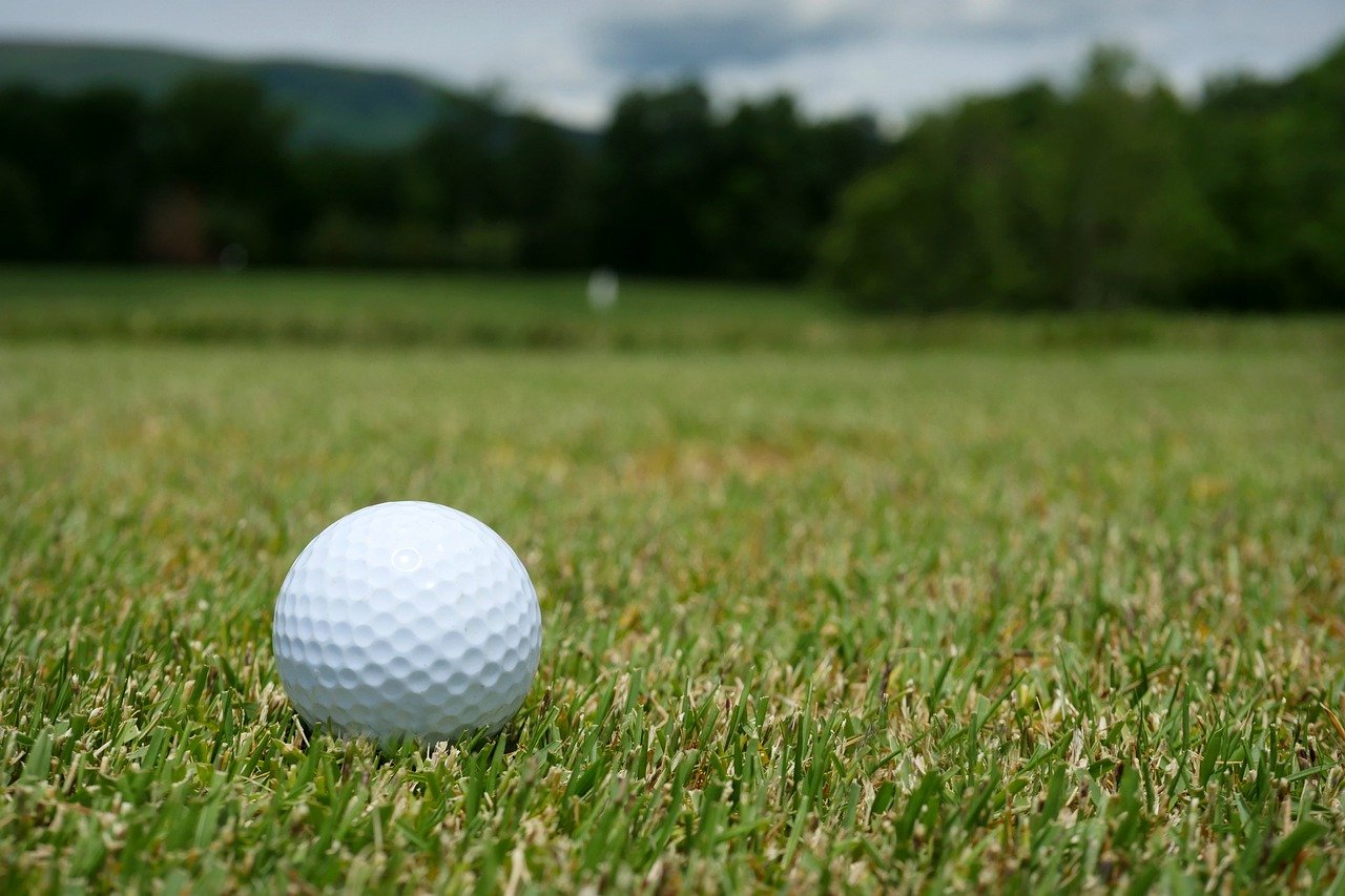 A golf ball on freshly cut grass