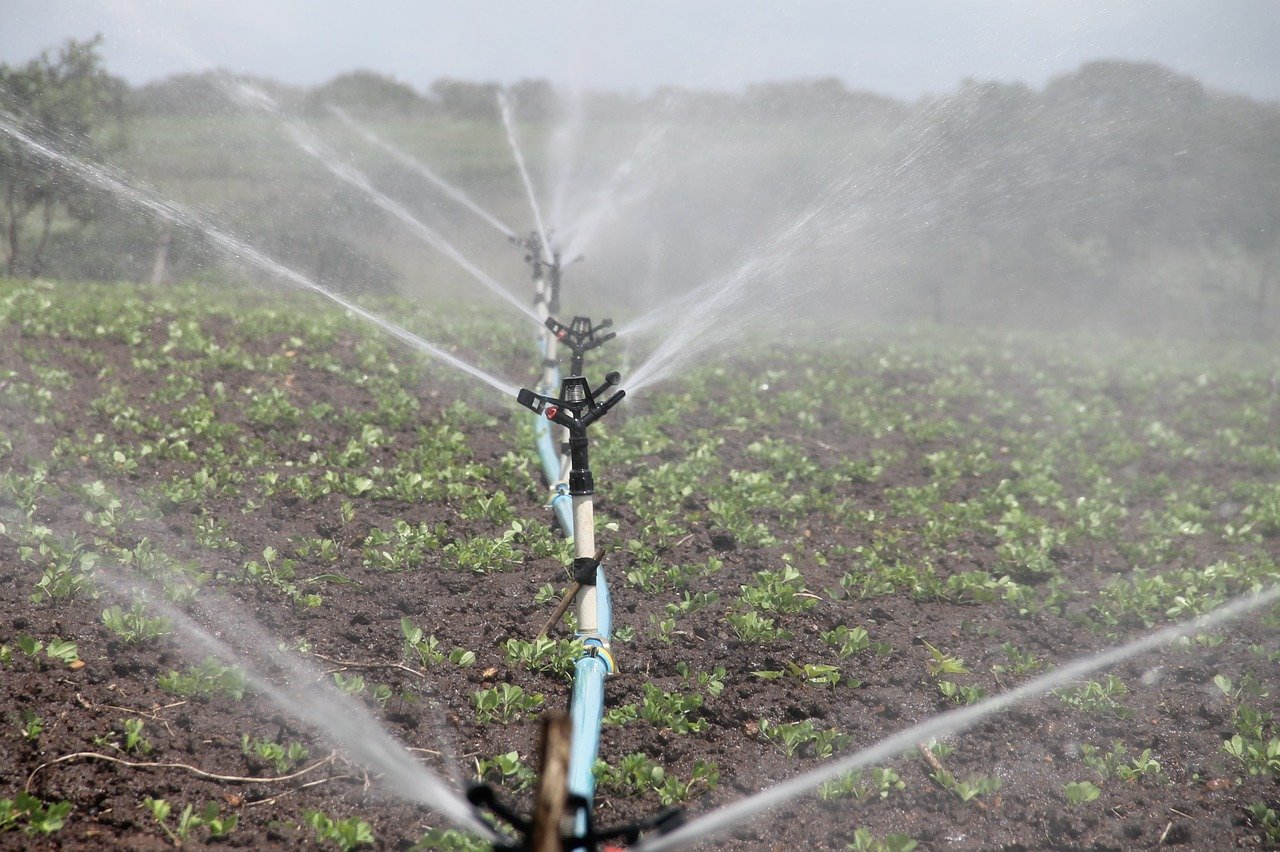 Irrigation water being sprayed onto crops