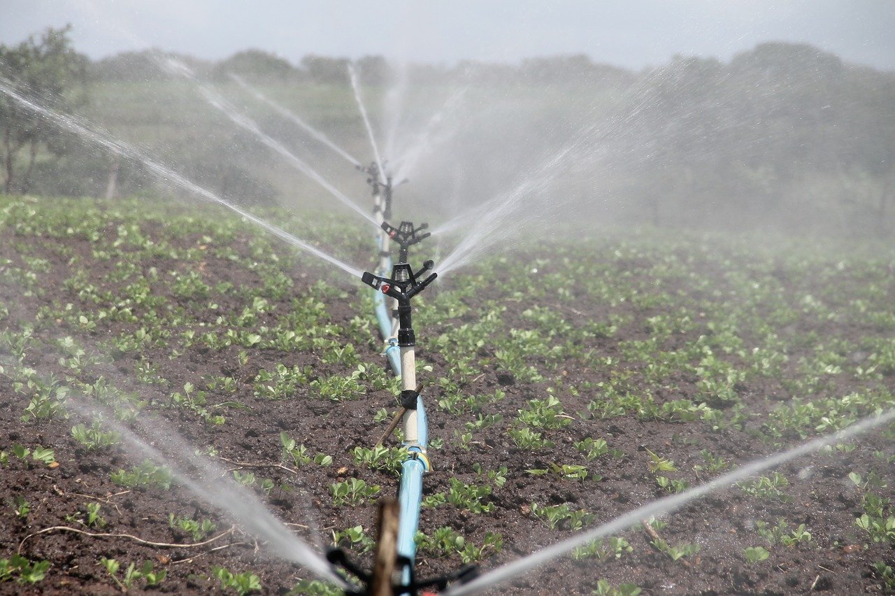 How to Remove Salt From Irrigation Water