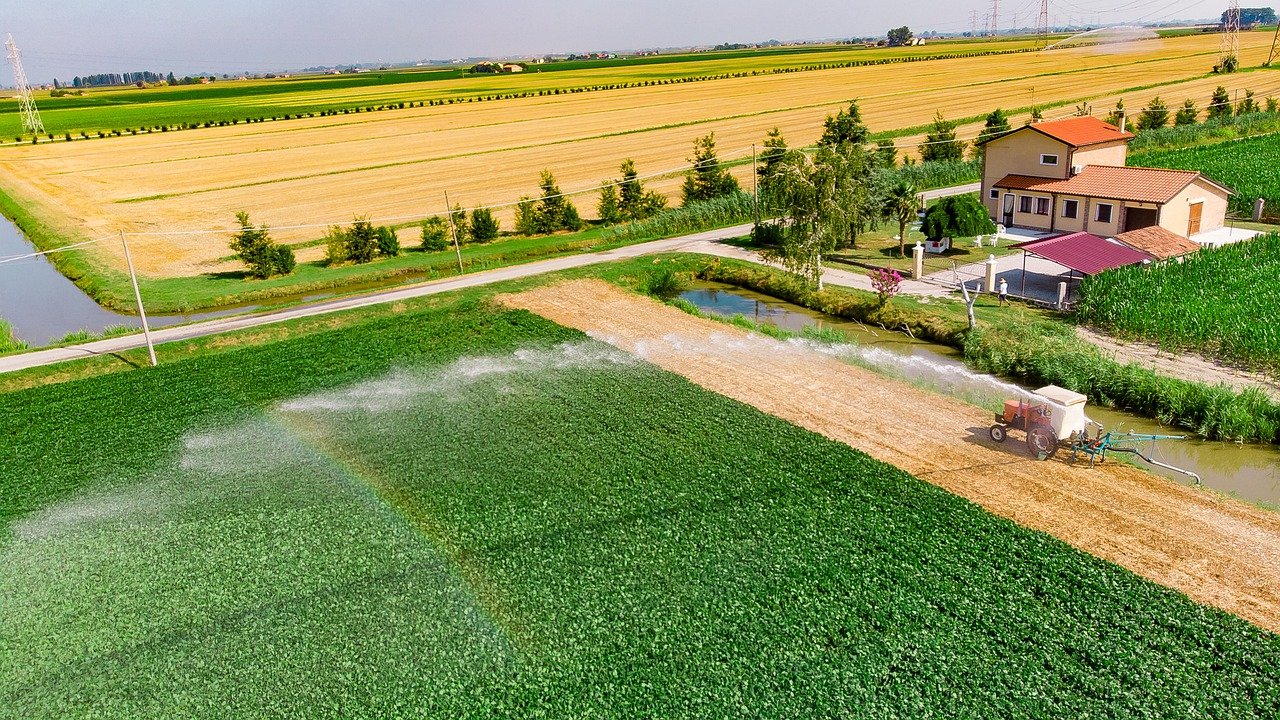 How Much Water Crops Need and Why