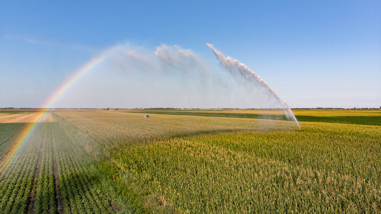 How Do Agricultural Irrigation Systems Work?