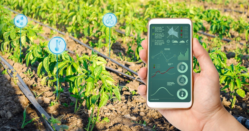 A smart irrigation app on a phone in a crop fieldld