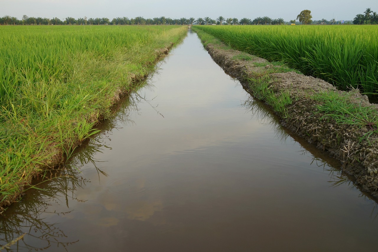 What is an Irrigation Ditch?