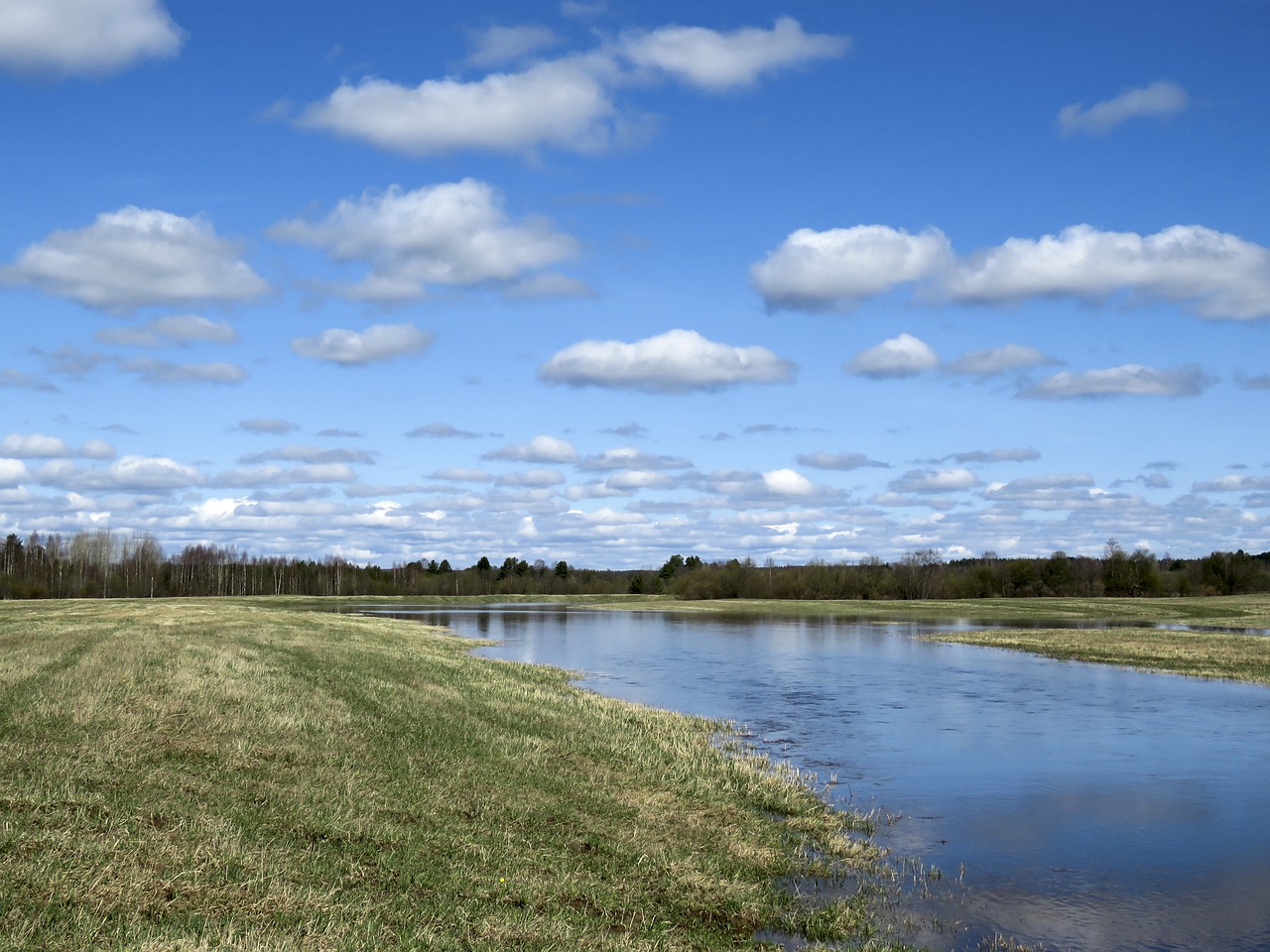 A water meadow