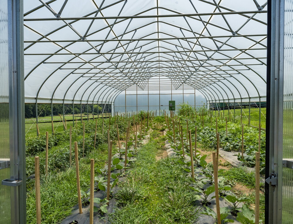 What is Polytunnel Irrigation?