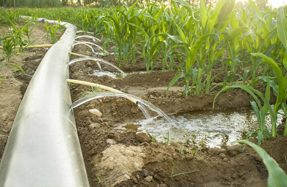 What is Furrow Irrigation?