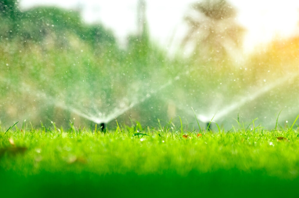 Automatic irrigation sprinklers watering grass