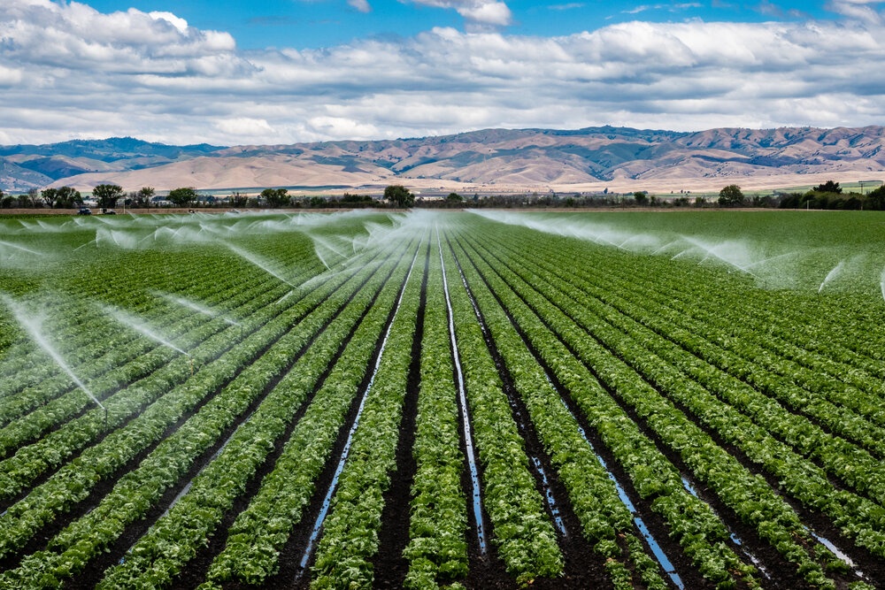 Irrigation () Irrigation