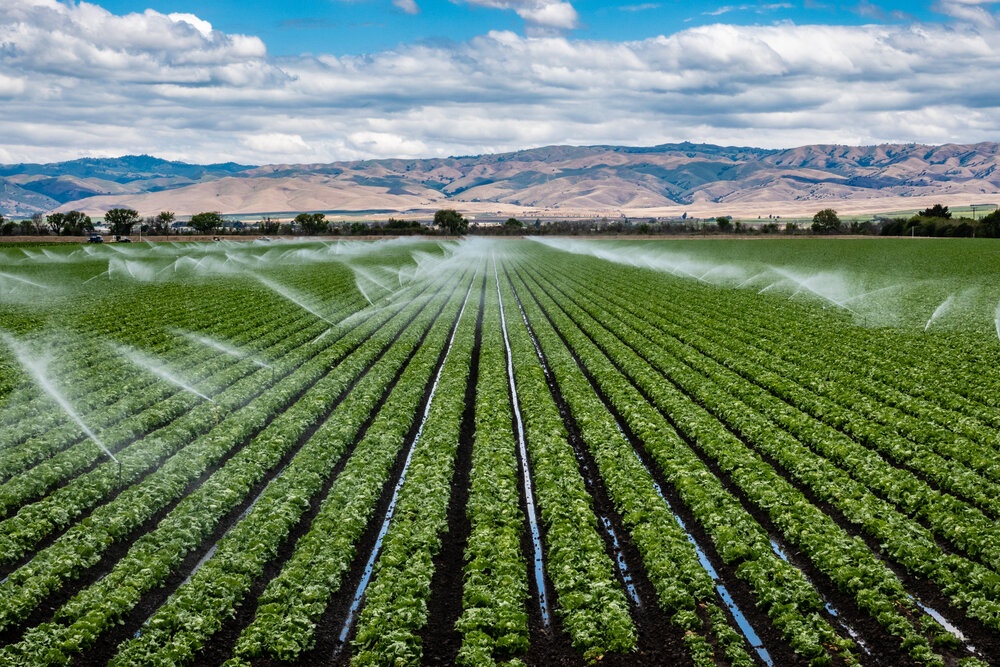 Modern methods of irrigation for improved water management