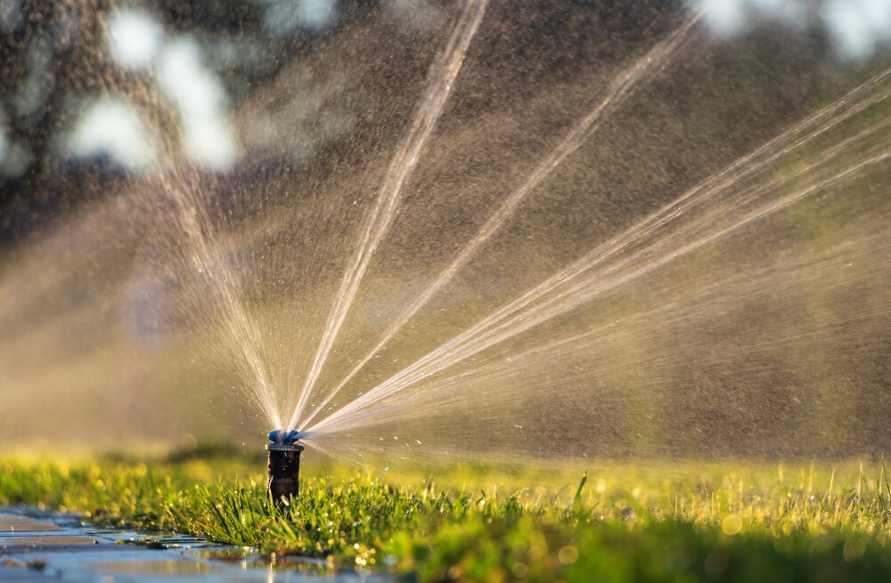 How Do Lawn Sprinklers Work? – TWL Irrigation