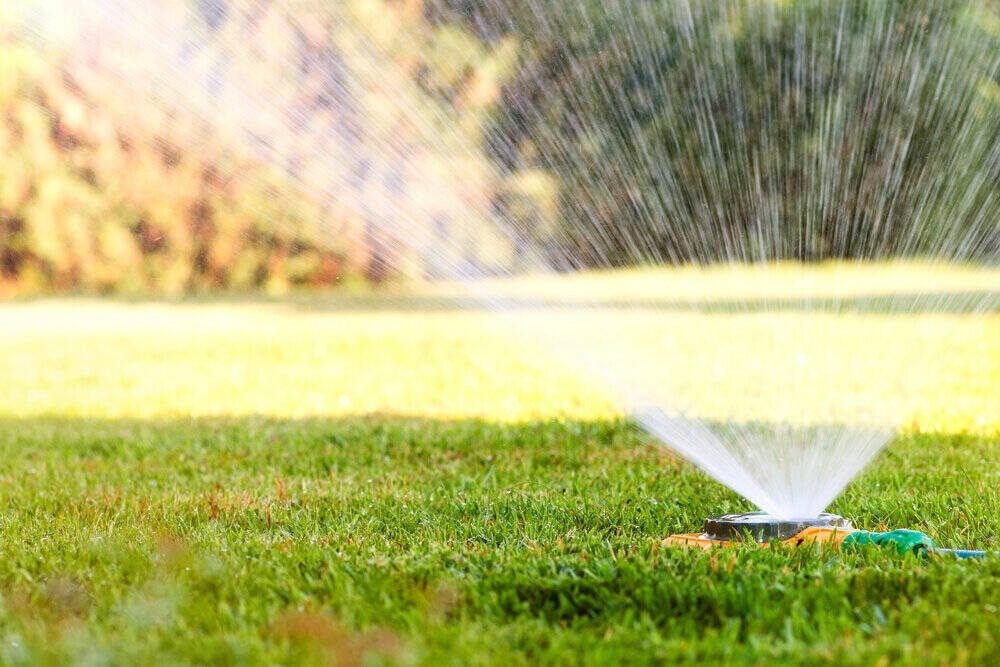 A sprinkler watering the grass